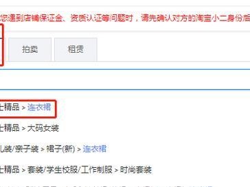 电脑发布商品详细教程（从零开始，轻松掌握电脑发布商品的技巧）