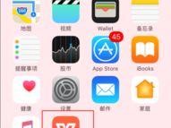 苹果手机怎么制作简历,模板选择与实用技巧