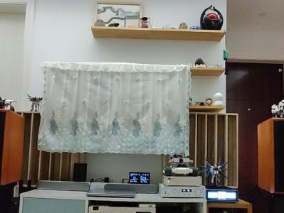 探究景丰数播的优势与发展前景（以景丰数播为例，探析中国数字广告行业的发展现状）