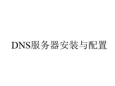 电脑诊所揭示（解析异常引发网络故障，掌握正确的DNS配置是关键）