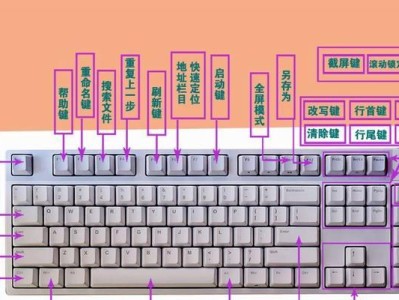 新手学电脑基本操作教程（快速掌握电脑基本操作技巧，打造高效办公利器）