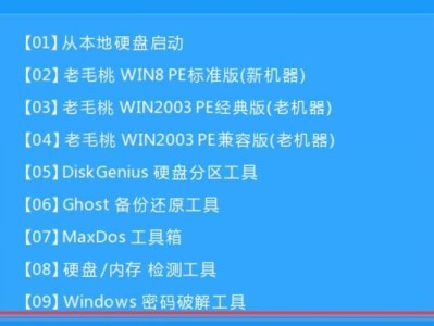 老毛桃装ISO教程（帮助您轻松装载ISO文件并启动安装过程）