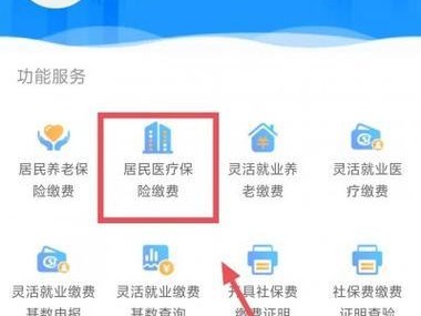 云南税务交医保软件教程（从注册登录到办理报销，全面解析云南税务交医保软件的使用技巧）