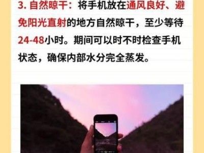 手机掉水里面怎么处理,紧急救援指南