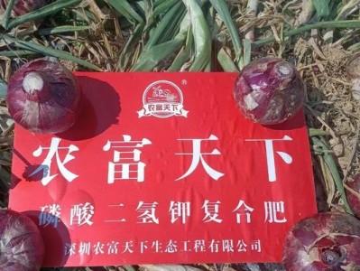 施天下化肥的优势和适用性剖析（一款高效、环保的农业助推器）